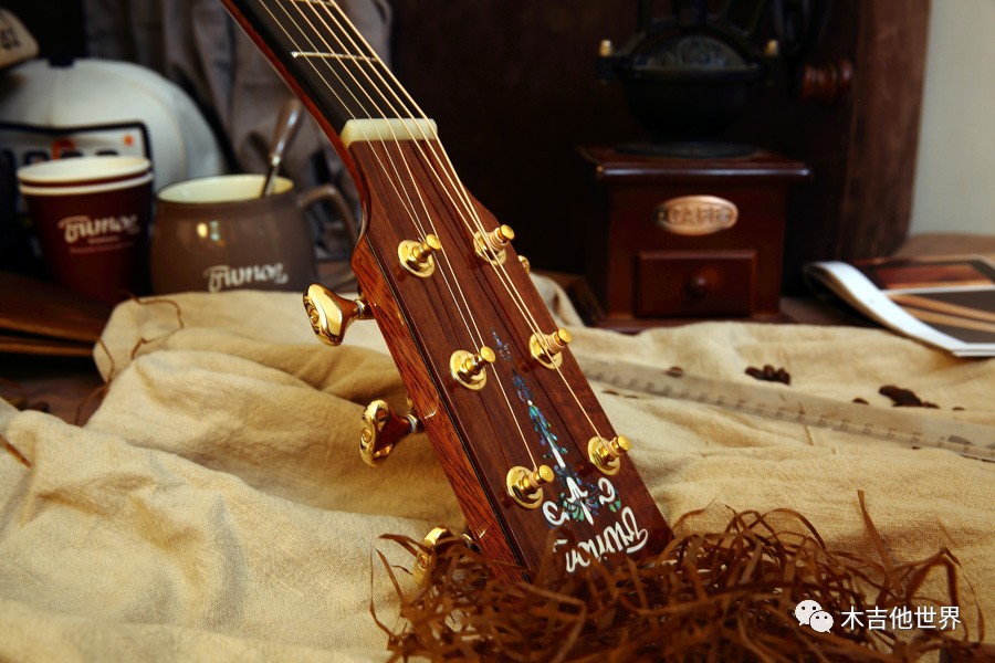 吉他木材排行_品牌排行网:全球吉他品牌十大排名