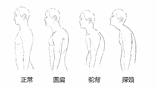 不练这7个瑜伽体式,下一个圆肩驼背的人就是你!