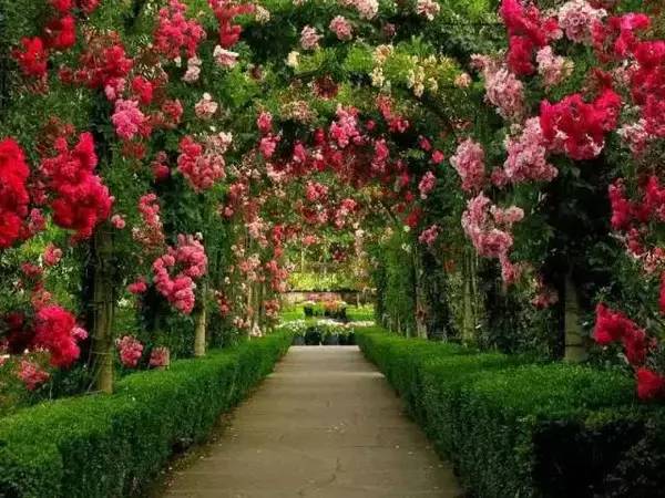 世界上最美的十大花园景观