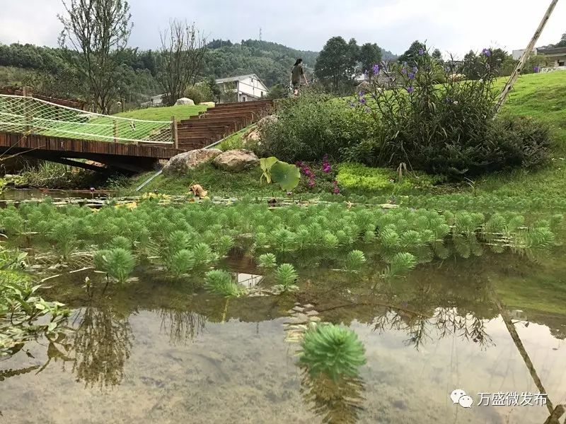 【旅游"十里河滩,梦里水乡—万盛鱼子岗蜕变照惊艳你的双眼!