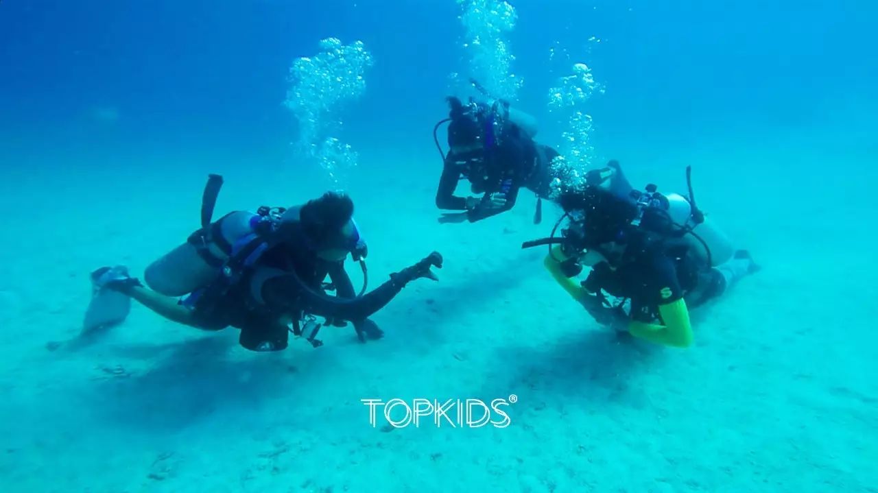 水肺体验潜水discover scuba diving