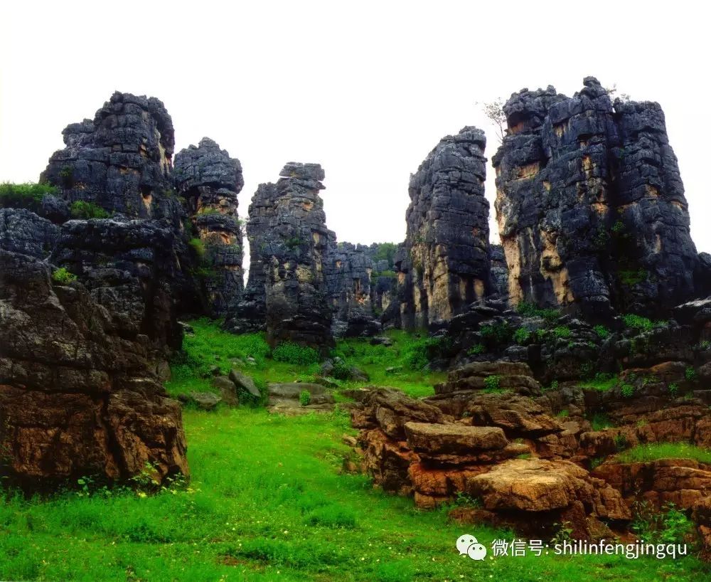 蓑衣山石林清水塘石林石林是美的.它具备了如此丰富的美丽景观.