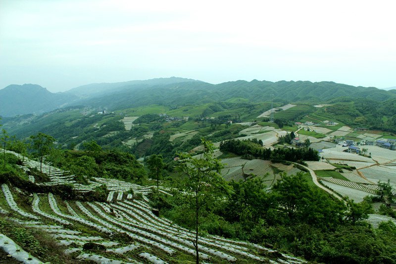 桃源观音寺镇