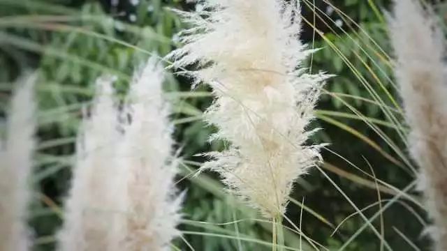 春夏秋冬,年复一年,时光流转,思念蔓延.岁月无声,成中医人来来去