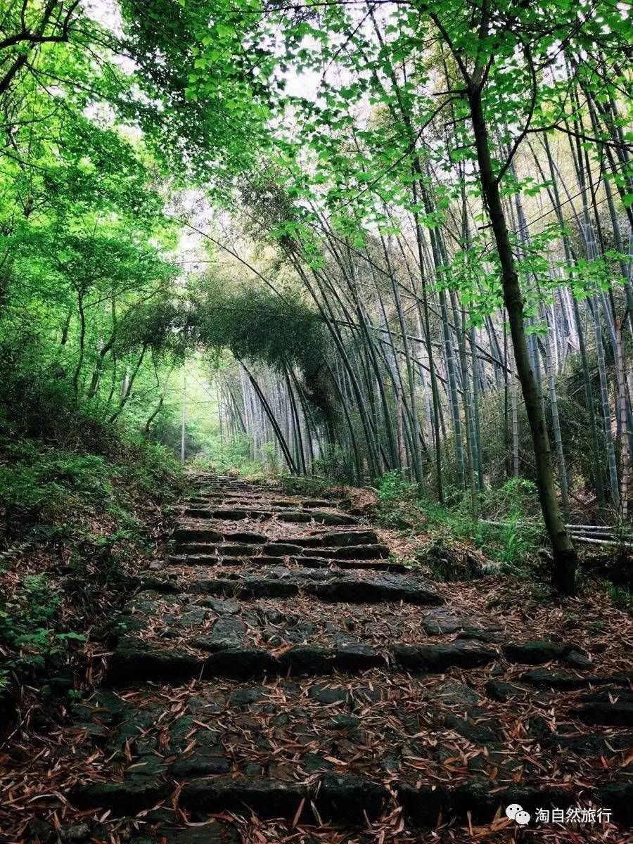 8 探秘兰若寺,上青古道