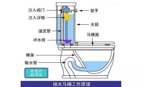 抽水马桶上有两个冲水按钮,95%的人都按错了!