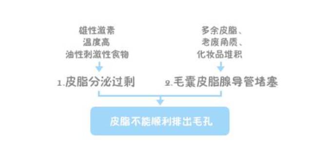 闭口人口_闭口粉刺图片