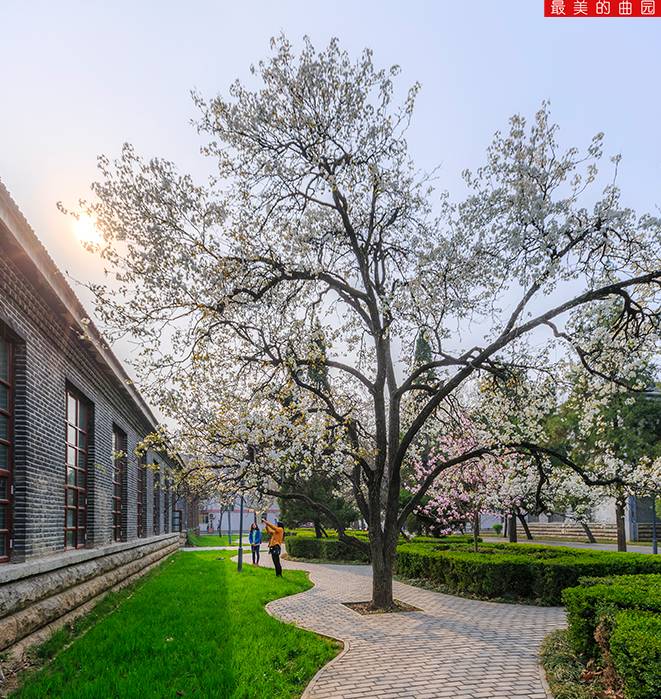 名校风采曲阜师范大学