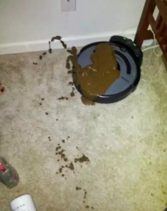狗狗在家里拉了一坨屎,但新买的扫地机器人不认识翔图片
