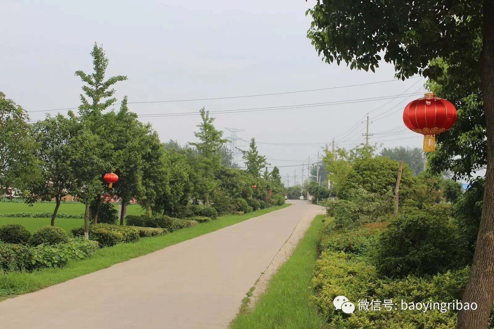 宝应全景夏集美丽乡村