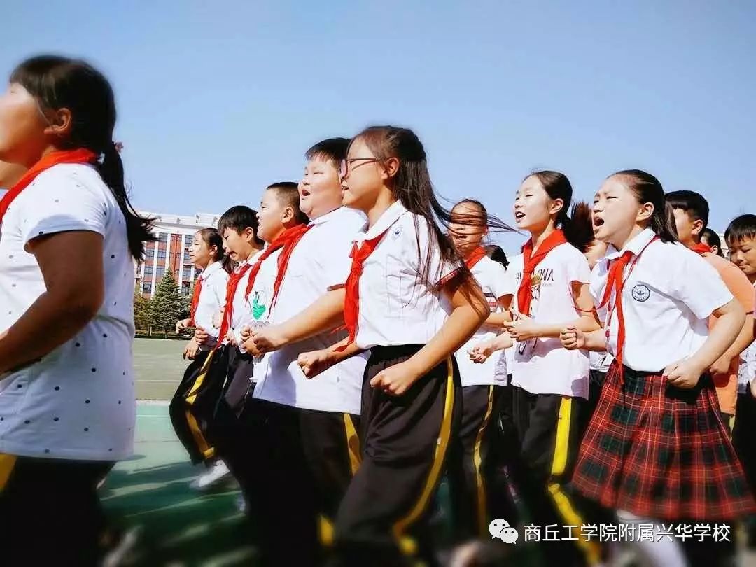 在收获的季节 少年神采飞扬