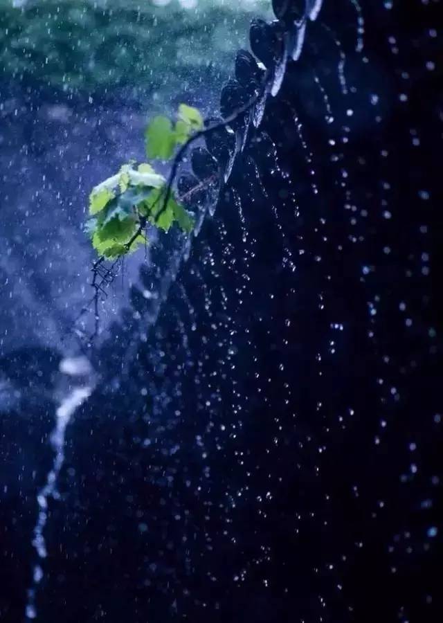 秋雨邀凉,时光煮雨