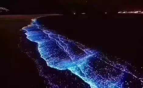 传说中最美荧光海,秦皇岛也能拍!