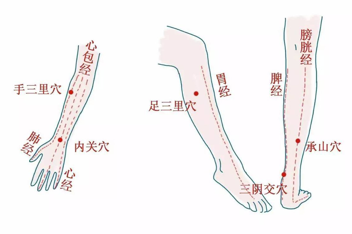 老年人强身健体需要经常艾灸的4个穴位 .艾灸养生