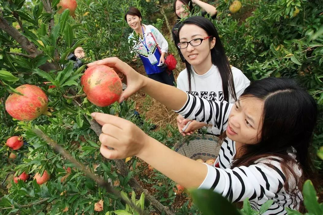 十一干嘛去坐火车来淮北吃石榴呀