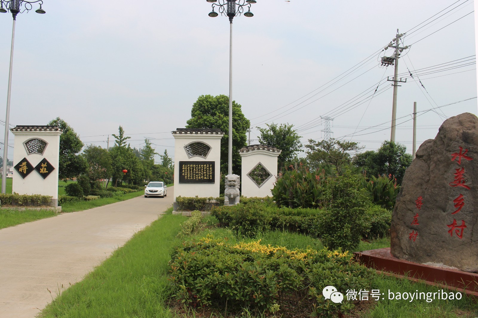 宝应:全景夏集,美丽乡村