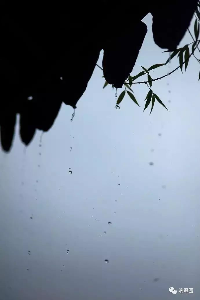 也许就是秋雨绵绵地来了.