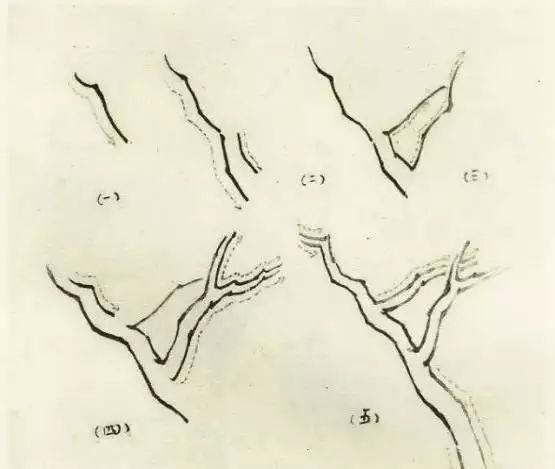 用挺劲的线条画出树干,称为"勾勒", 画树先学勾勒.