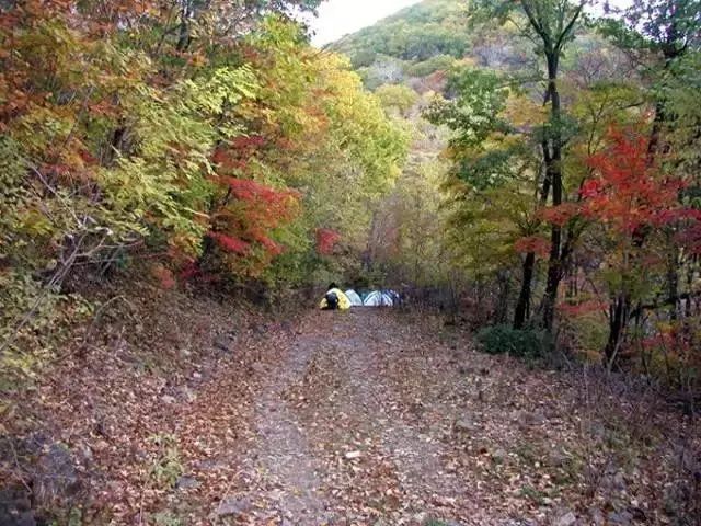 周末撒欢沈阳周边25处爬山圣地人少景美又好玩莫负秋色