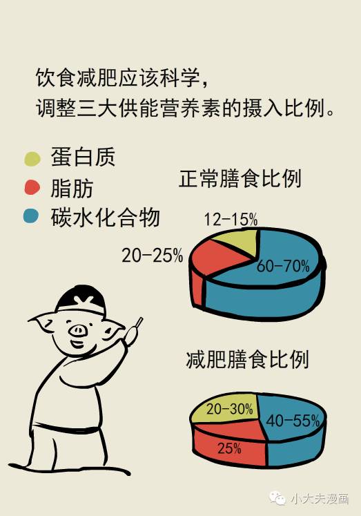 【健康管理】饮食减肥要科学,不能因减肥而营养缺乏