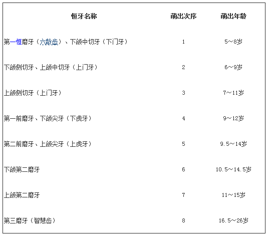 恒牙萌出的时间和顺序