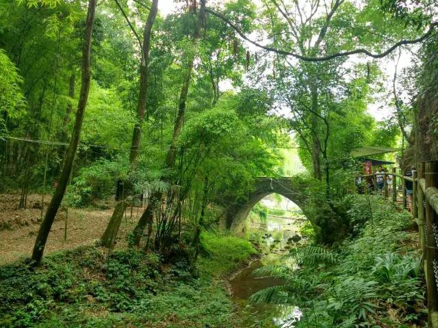 拒绝人山人海,探秘川西竹海峡谷,相拥世外清凉美景!