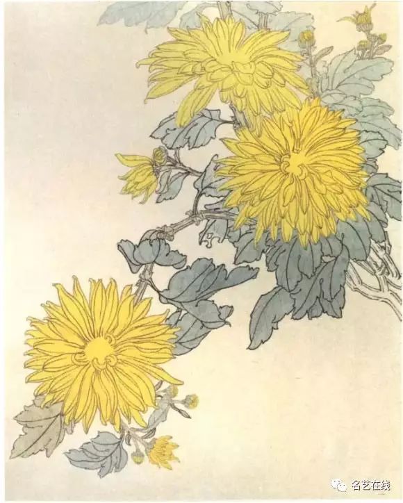 国画技法:菊花工笔画示范