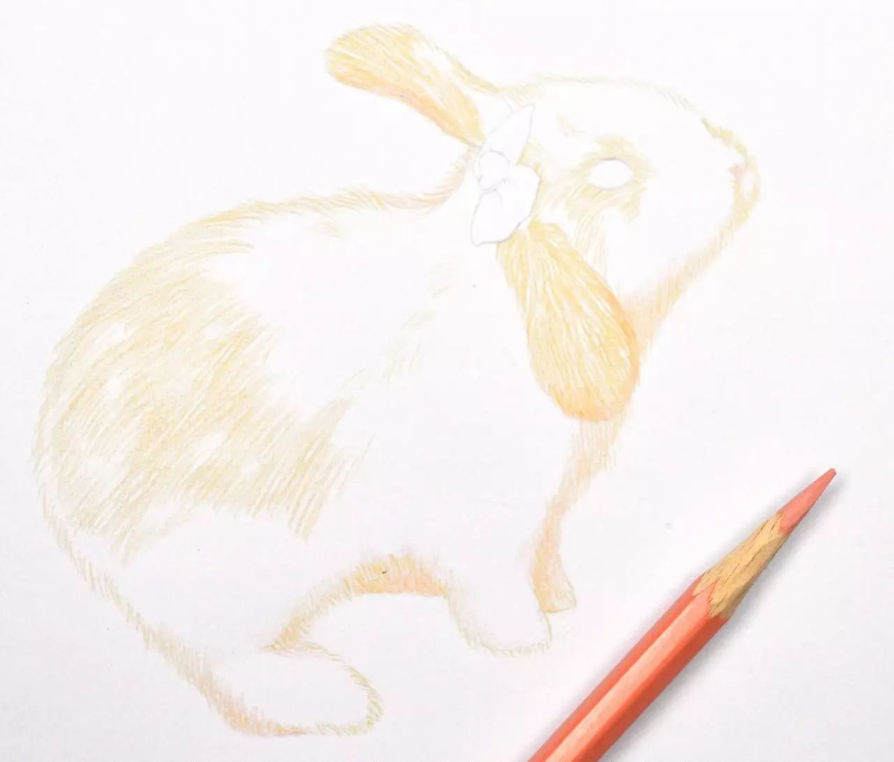零基础绘画教程 | 小兔子