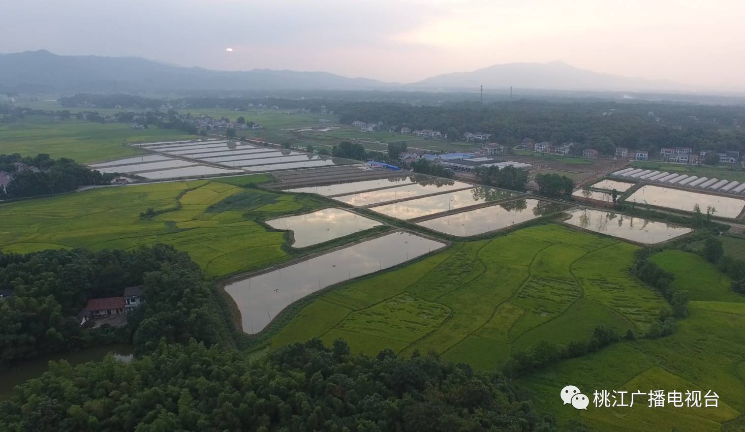 桃江有多少人口_桃江人,你还记得桃江的第一条铁路益灰铁路吗