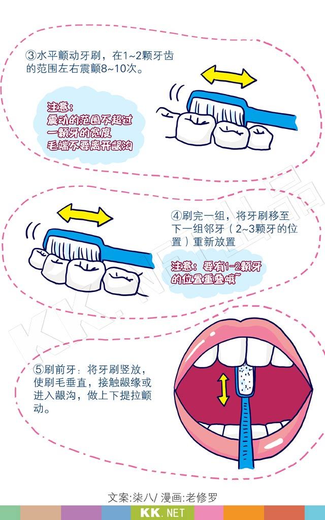 bass刷牙法,最详图解在这里!