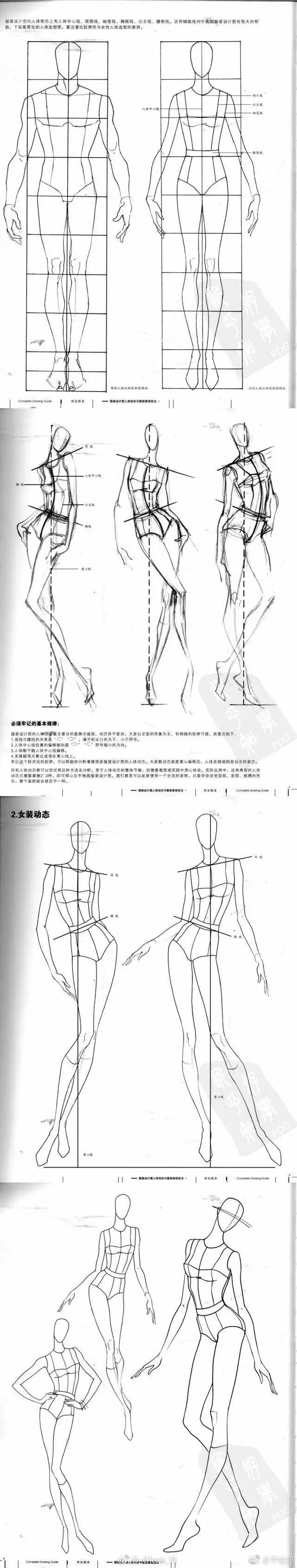 分享一组模特的人体结构 大家学起来 画动态人物时 就可以画出人物的