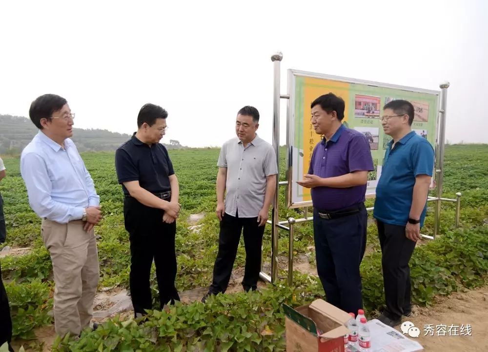 组图中国粮企山西行参观忻府区董村镇刘家山汇丰有机杂粮基地