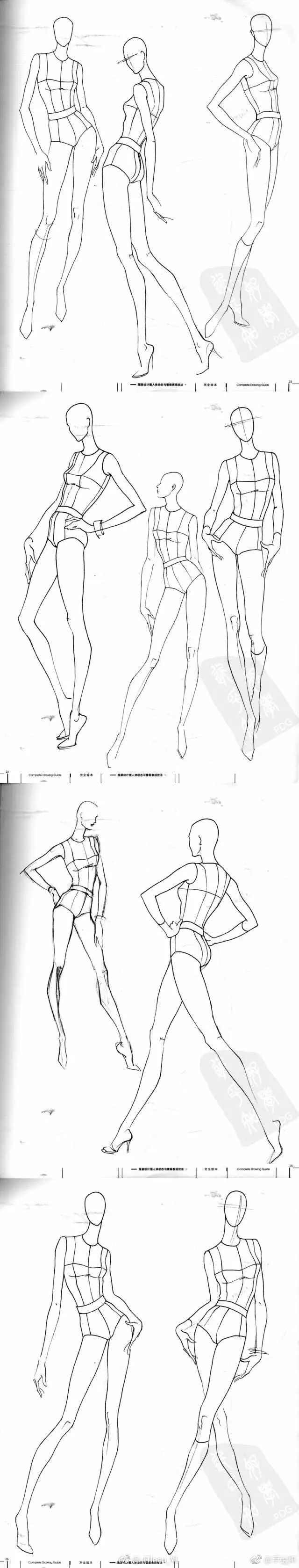 人物线稿 | 一组模特的人体结构