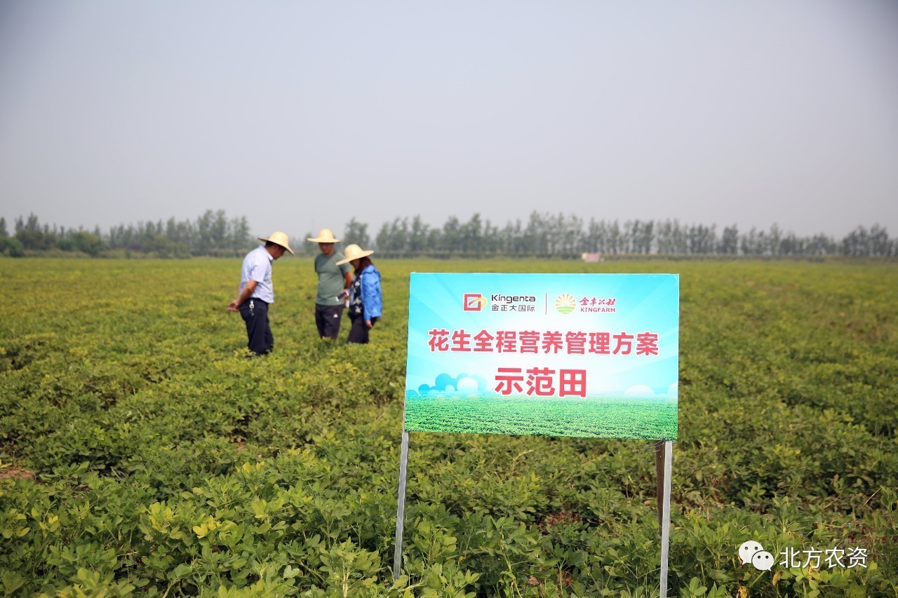 示范田花生金丰公社介绍智能农用植保机优势专家视察测产专家组选择