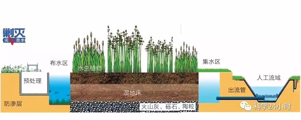 【独家·24小时】"人工湿地"——水危机下的一剂良方