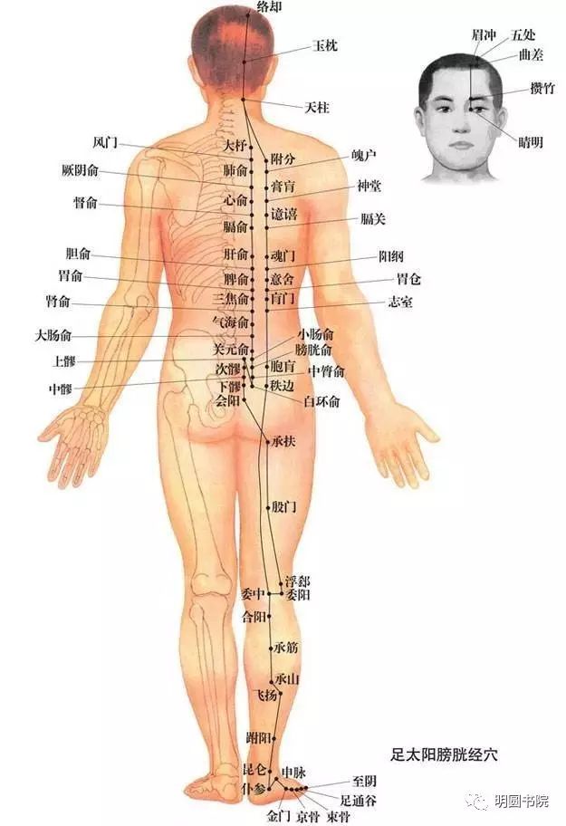 经络理论|传统文化·中医课_手机搜狐网