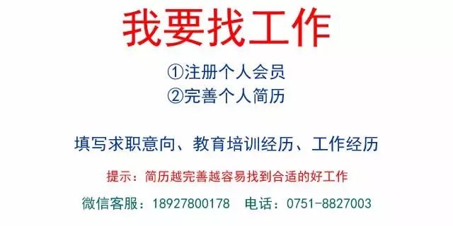 招聘审计人员_自爆财务造假 ,公司自己聘请的审计人员发现造假猫腻