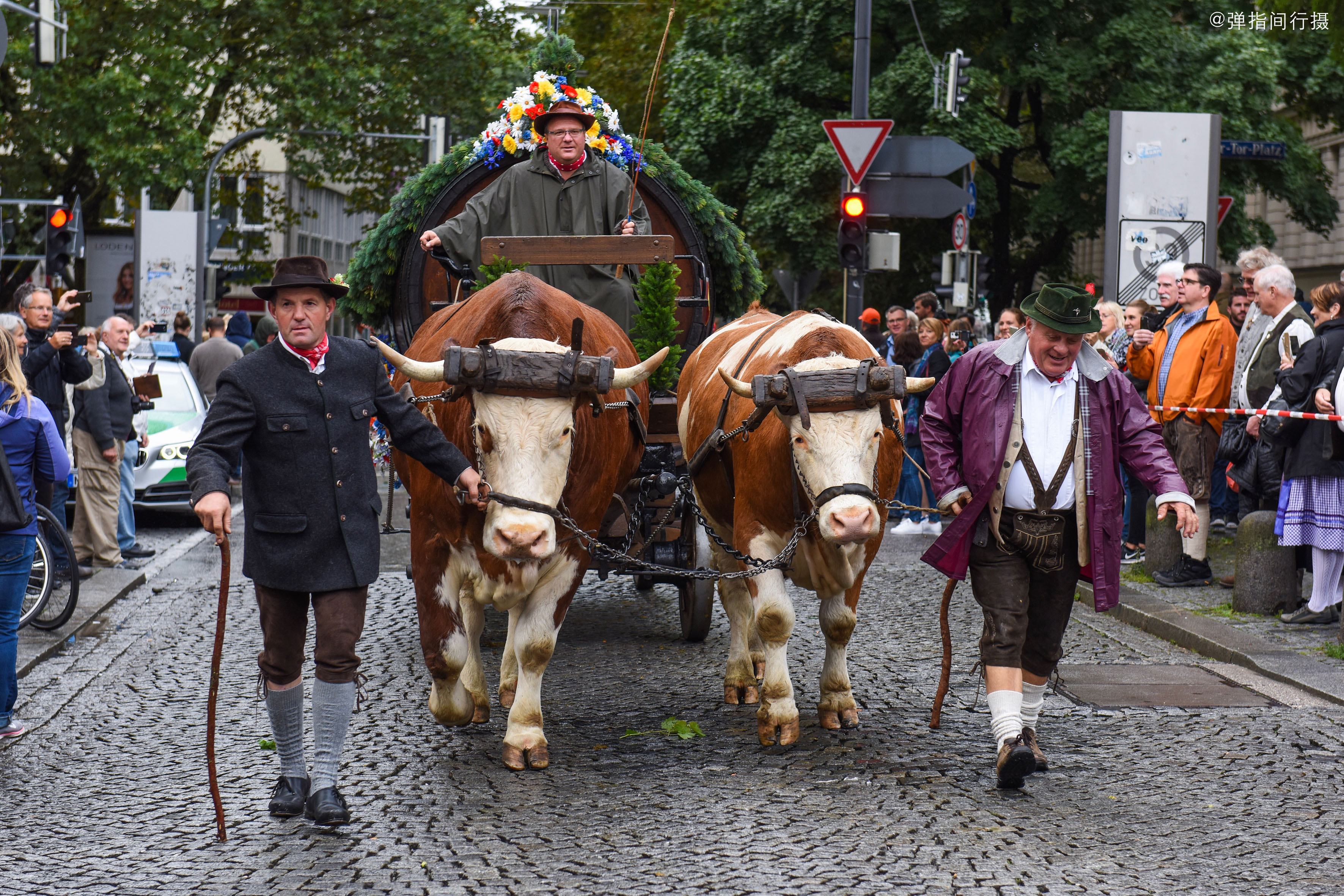 游行Fasching德国狂欢节纽伦堡 编辑类库存图片. 图片 包括有 欢乐, 狂欢节, 表达式, 五颜六色 - 66319994
