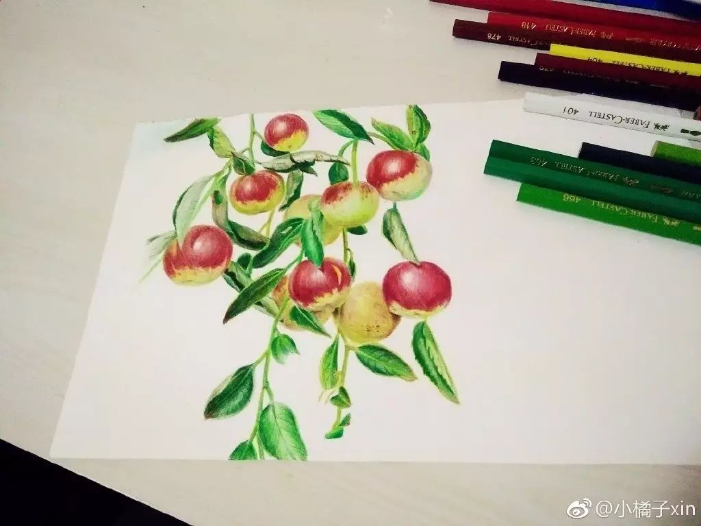 彩铅步骤临摹 | 画一串枣吃起哒