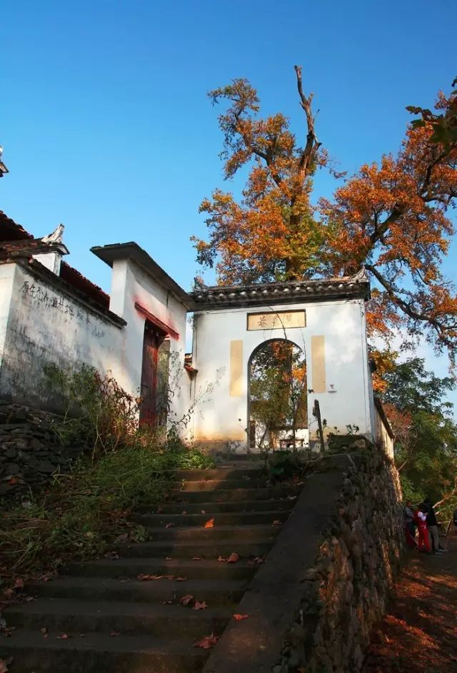 婺源千村走遍,却独钟情篁村,不是村落附近有红豆杉群与