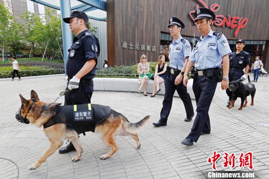 切实发挥警犬参与社会治安管控的作用,上海市公安局浦东分局18日全面