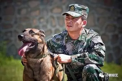 1,《奇兵神犬》