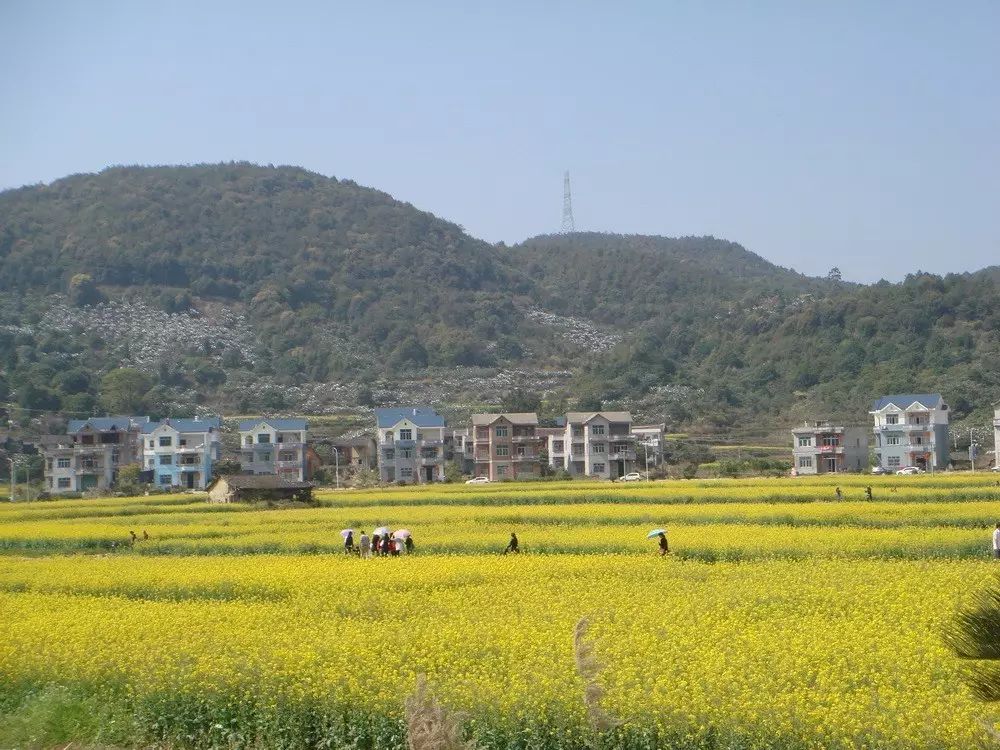 莆田坪人口_莆田坪盘旅游景区