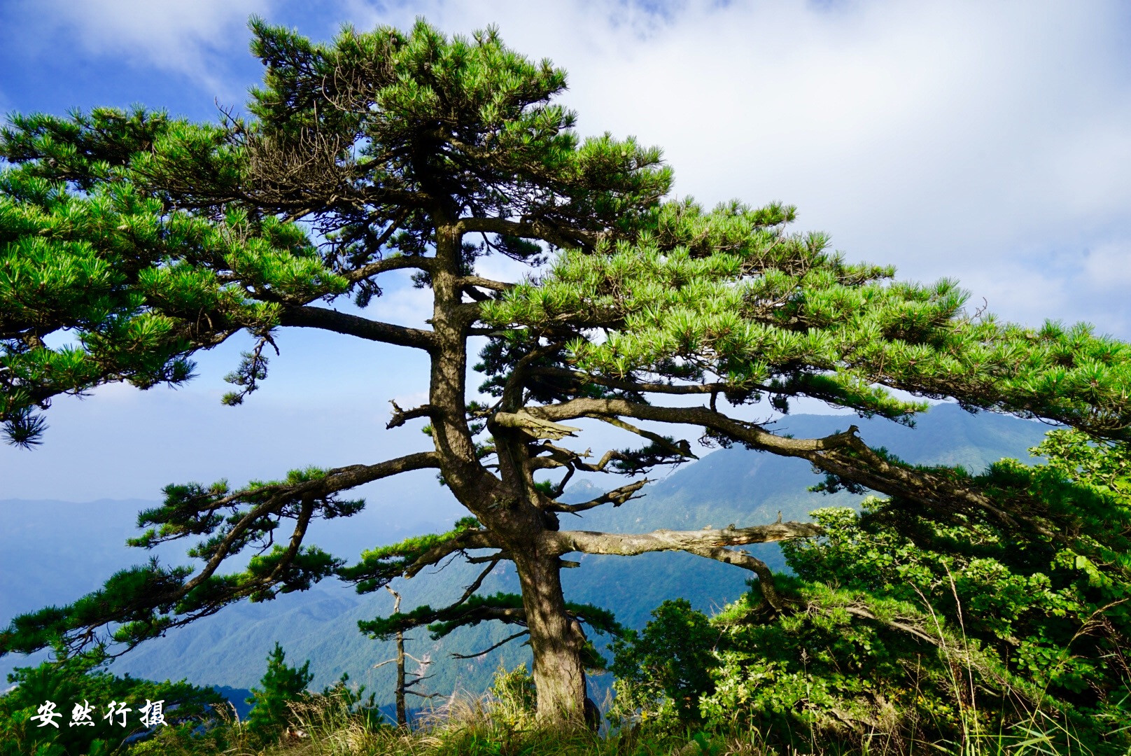 景美人少大别山主峰白马尖，国庆出游好去处