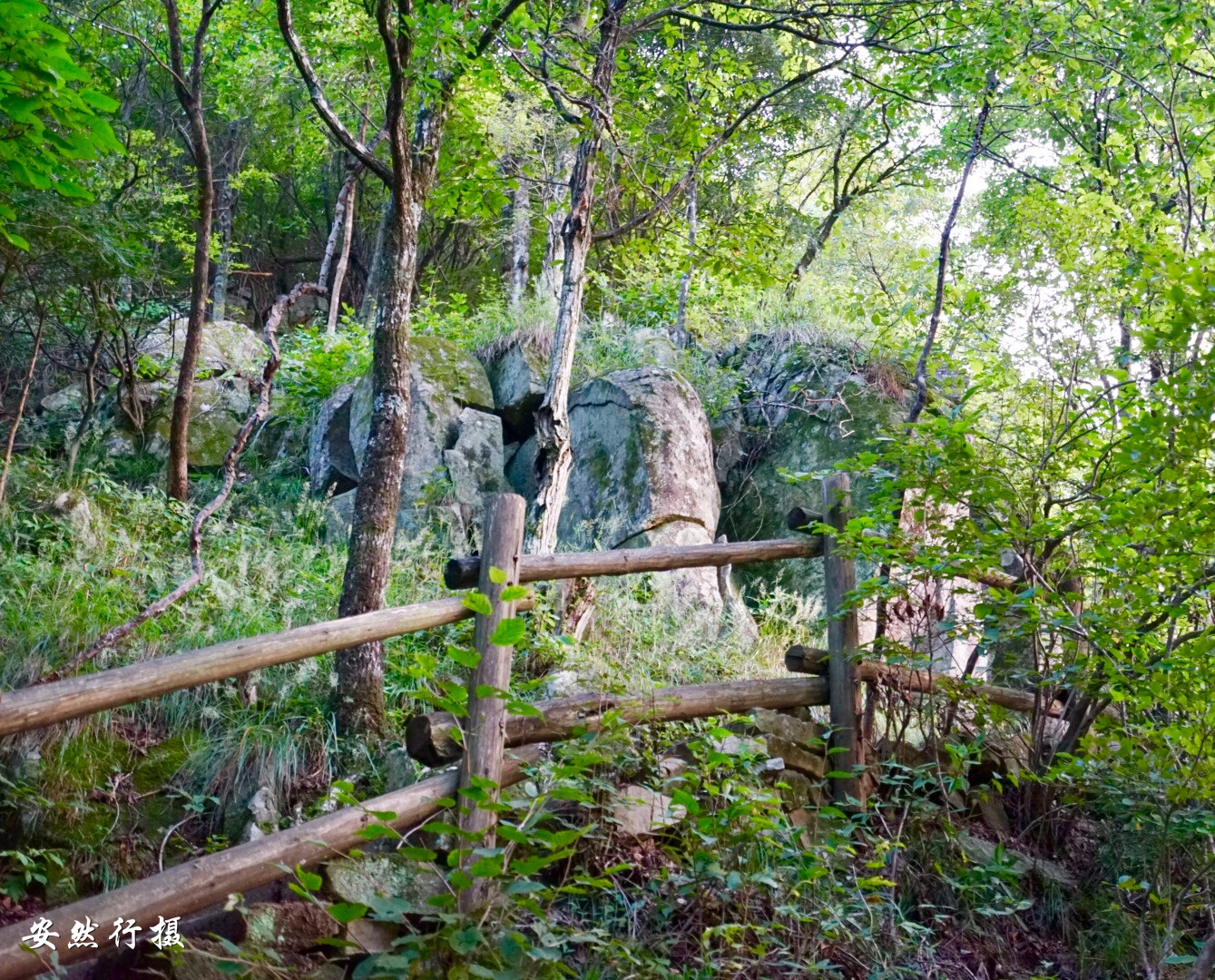 景美人少大别山主峰白马尖，国庆出游好去处