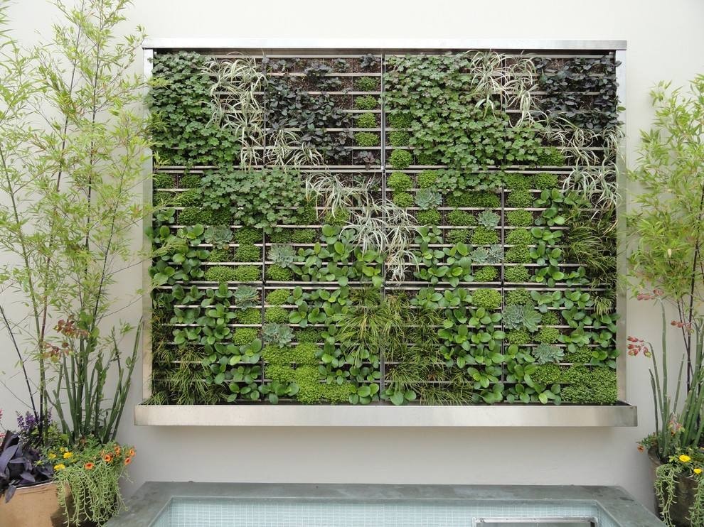 当家里有一面植物墙,居然有这么多好处!