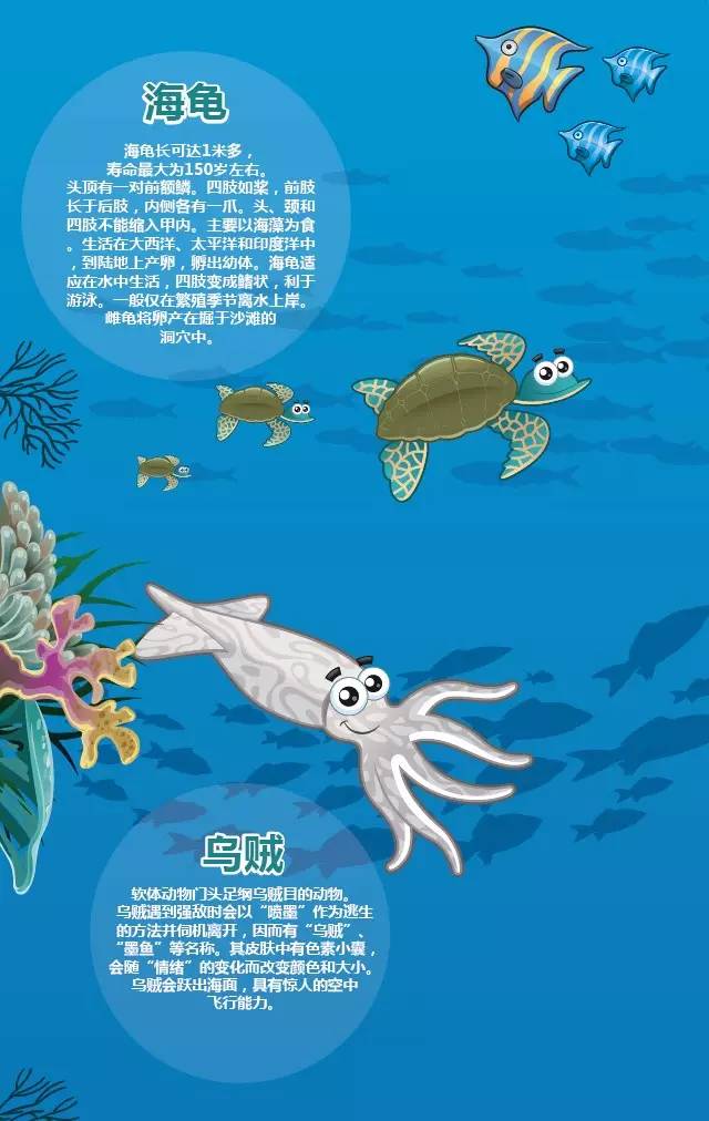 【海翻总动员】海洋知识大科普