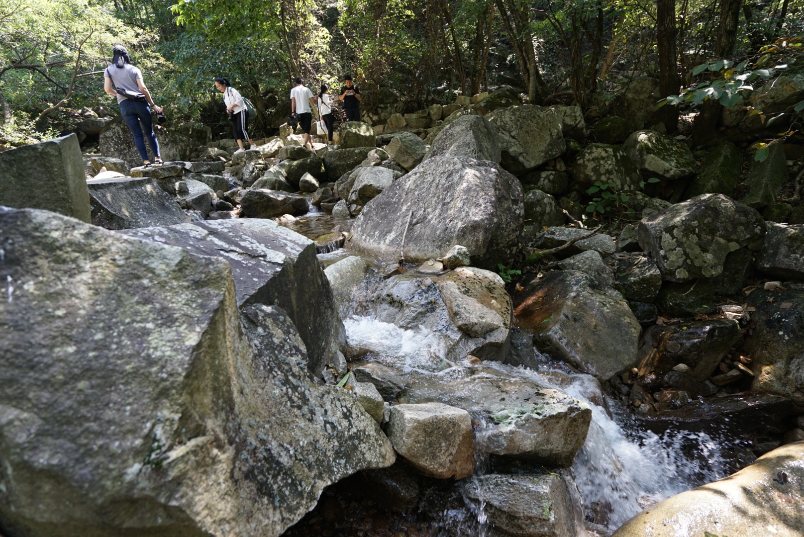 景美人少大别山主峰白马尖，国庆出游好去处