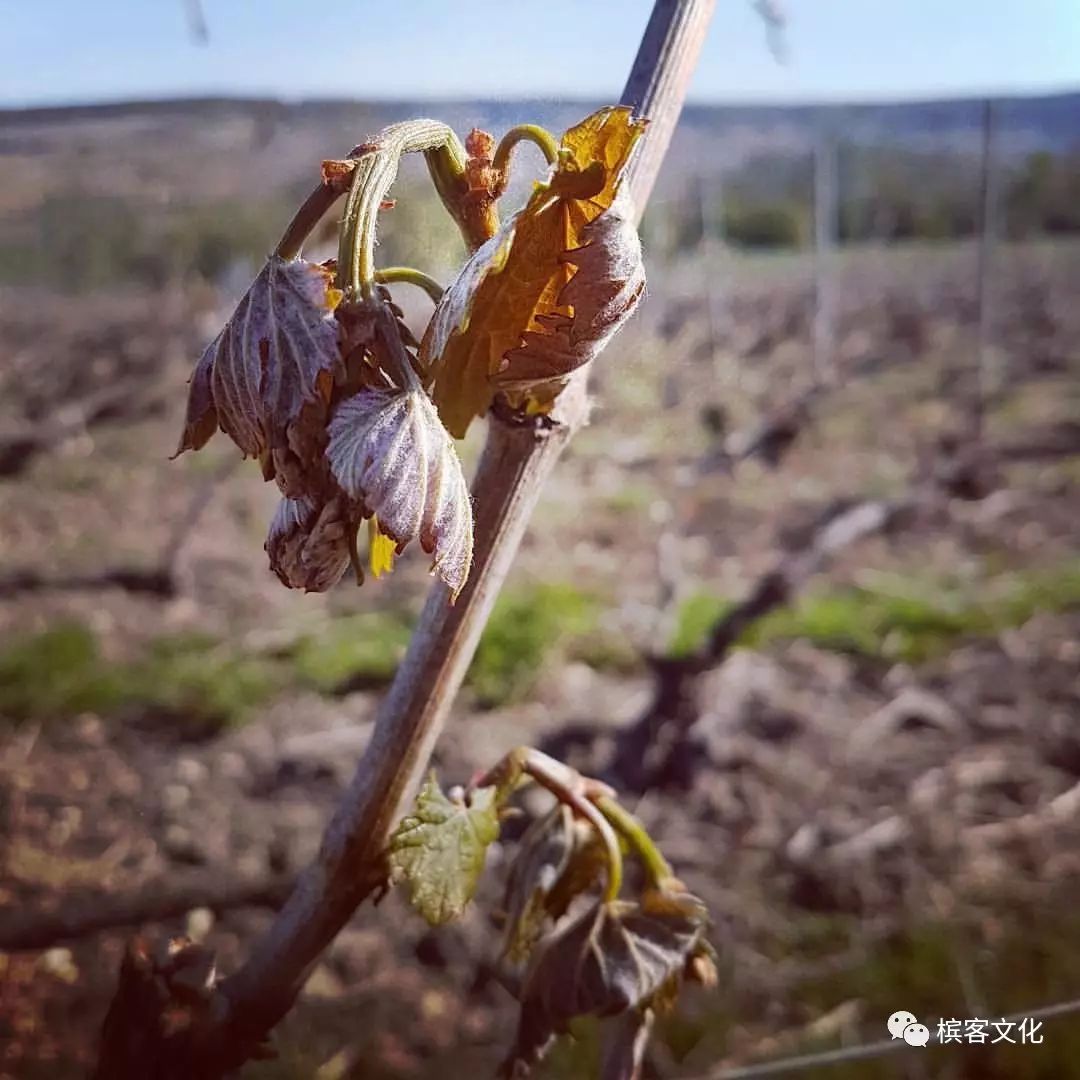 什么酷暑四字成语_半三足什么的四字成语(3)