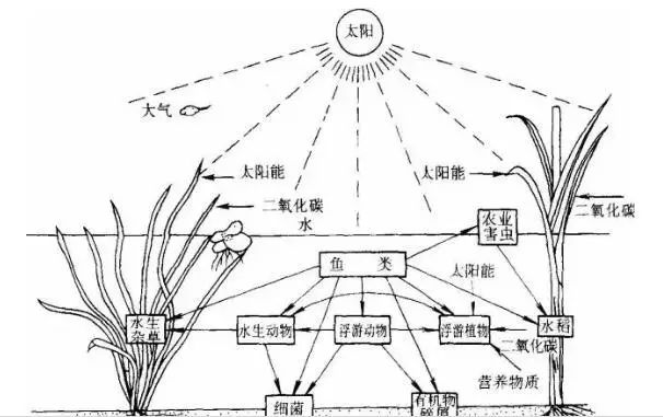 智慧农业生态循环农业让种养更智慧